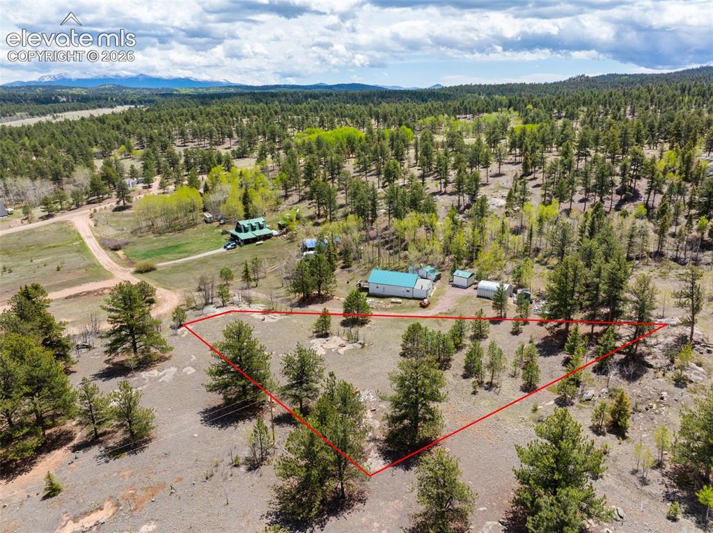 121 Bridle Lane Florissant CO 80816