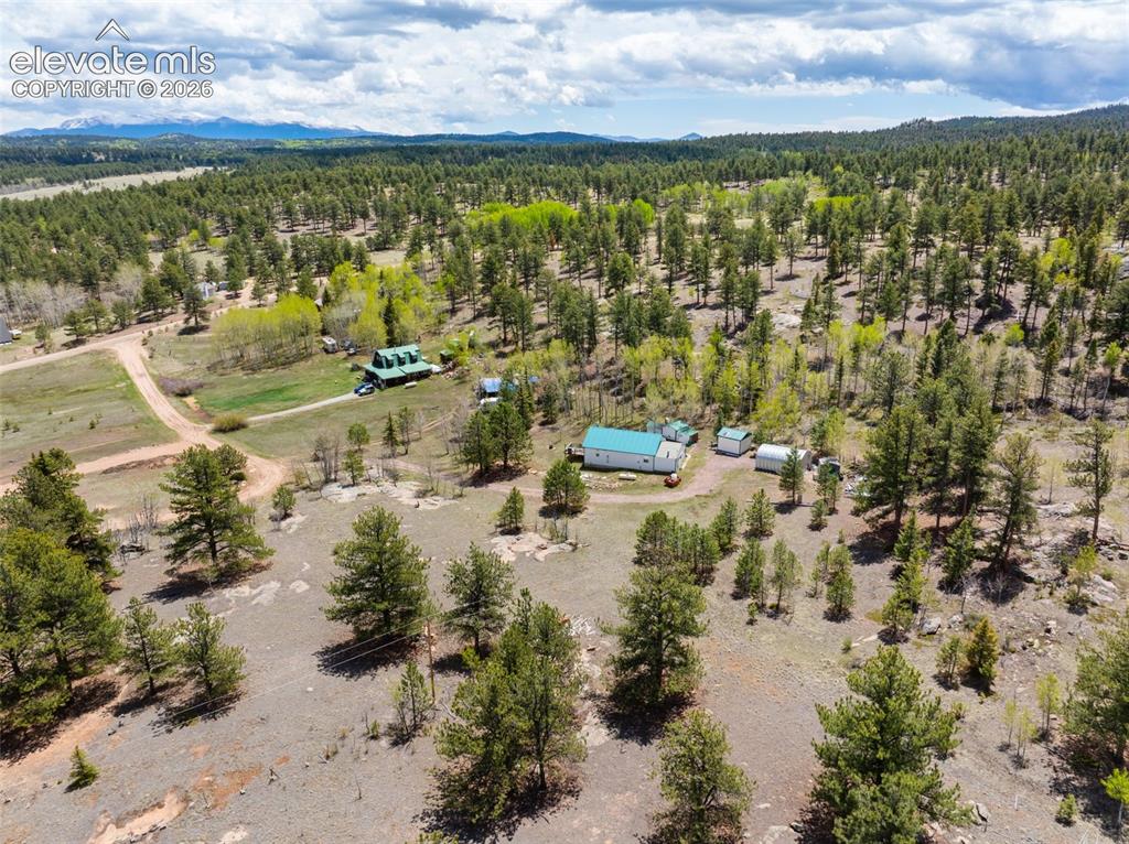 121 Bridle Lane Florissant CO 80816