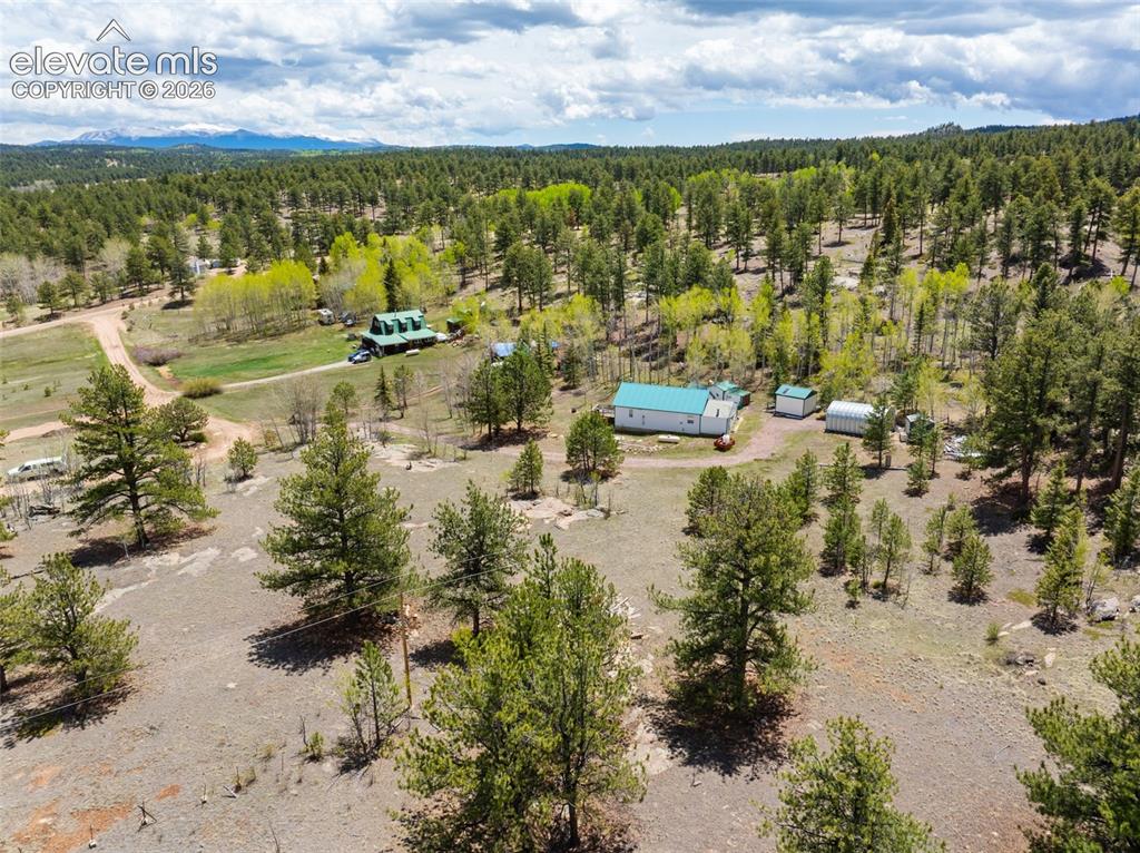 121 Bridle Lane Florissant CO 80816