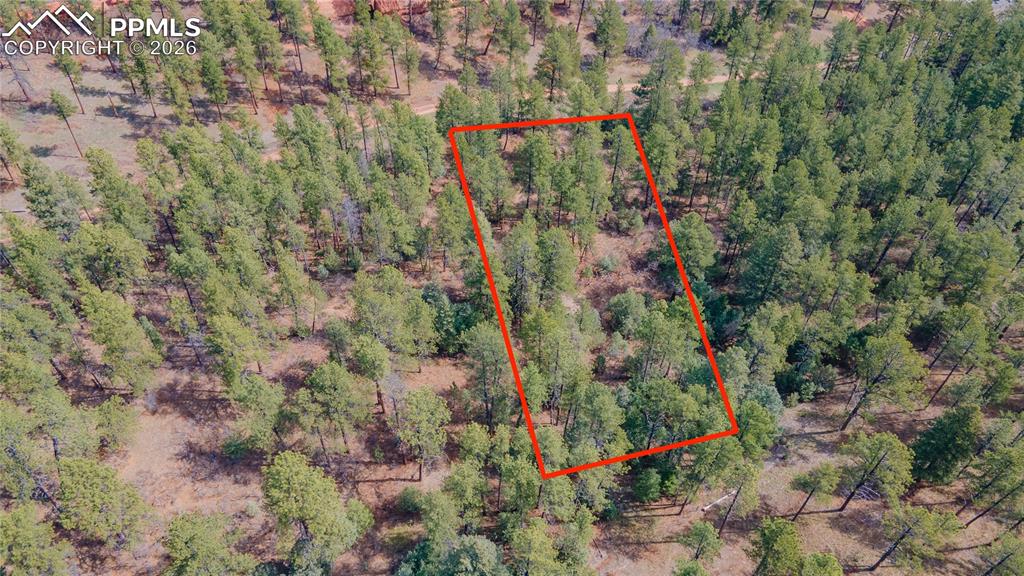 8257 Bannock Drive Larkspur CO 80118