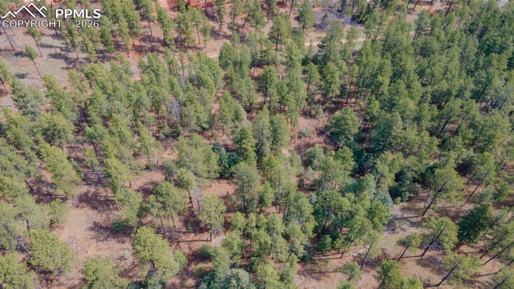 8257 Bannock Drive Larkspur CO 80118