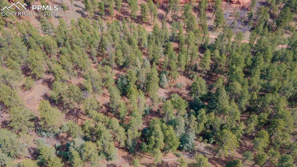 8257 Bannock Drive Larkspur CO 80118