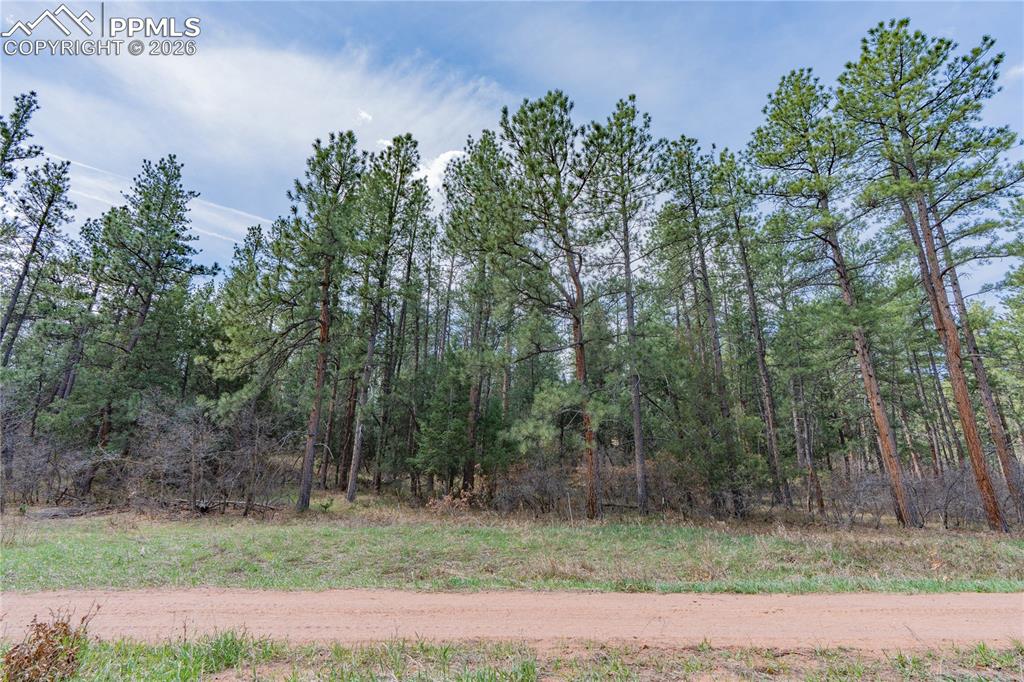 8257 Bannock Drive Larkspur CO 80118