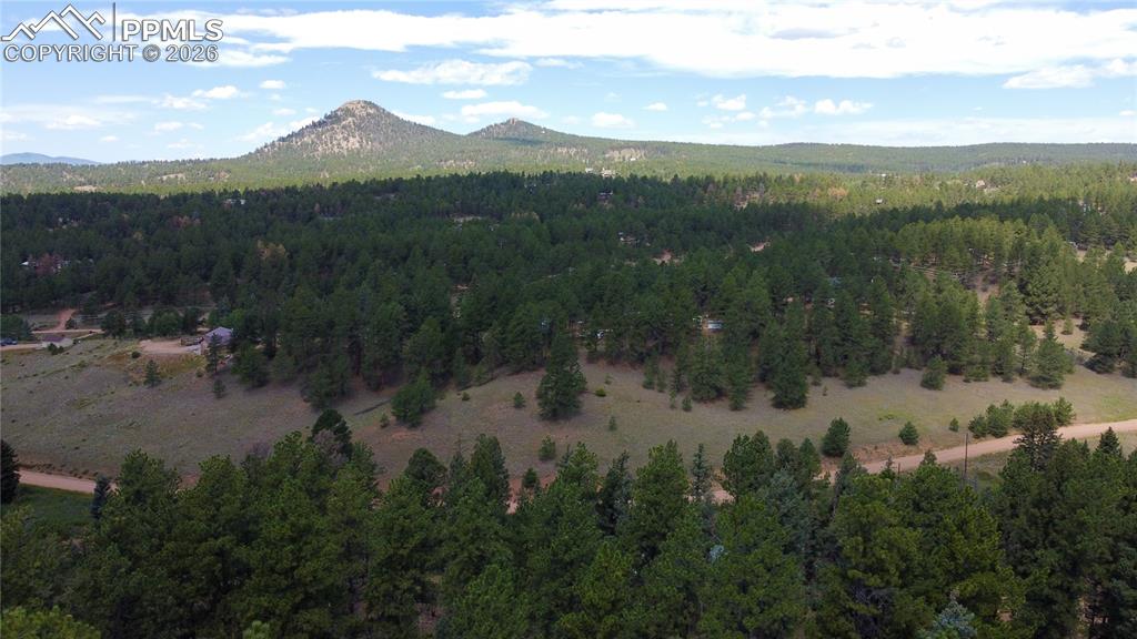 1570 Pathfinder Road Florissant CO 80816