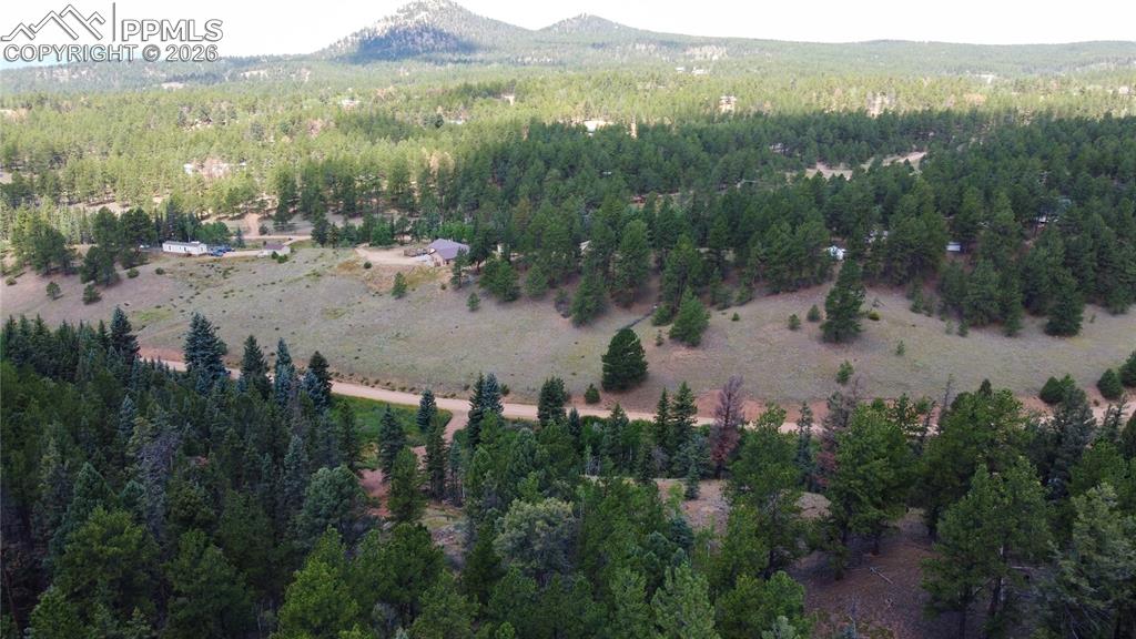 1570 Pathfinder Road Florissant CO 80816
