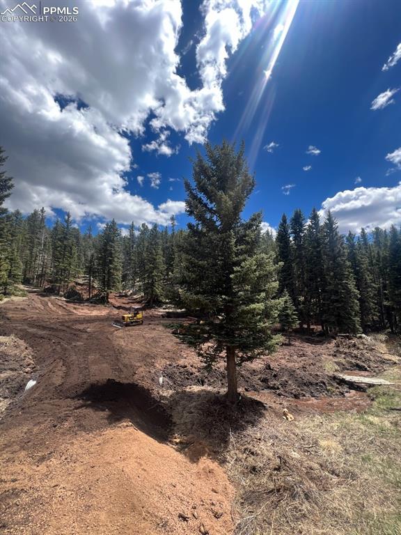 1570 Pathfinder Road Florissant CO 80816