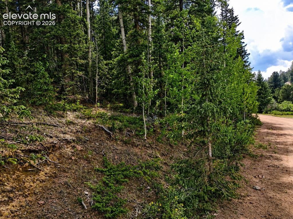 2462 Anges Drive Cripple Creek CO 80813