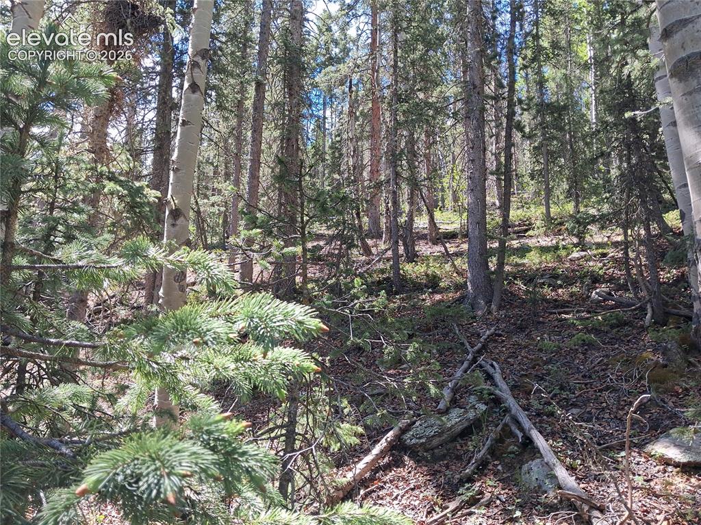 2462 Anges Drive Cripple Creek CO 80813