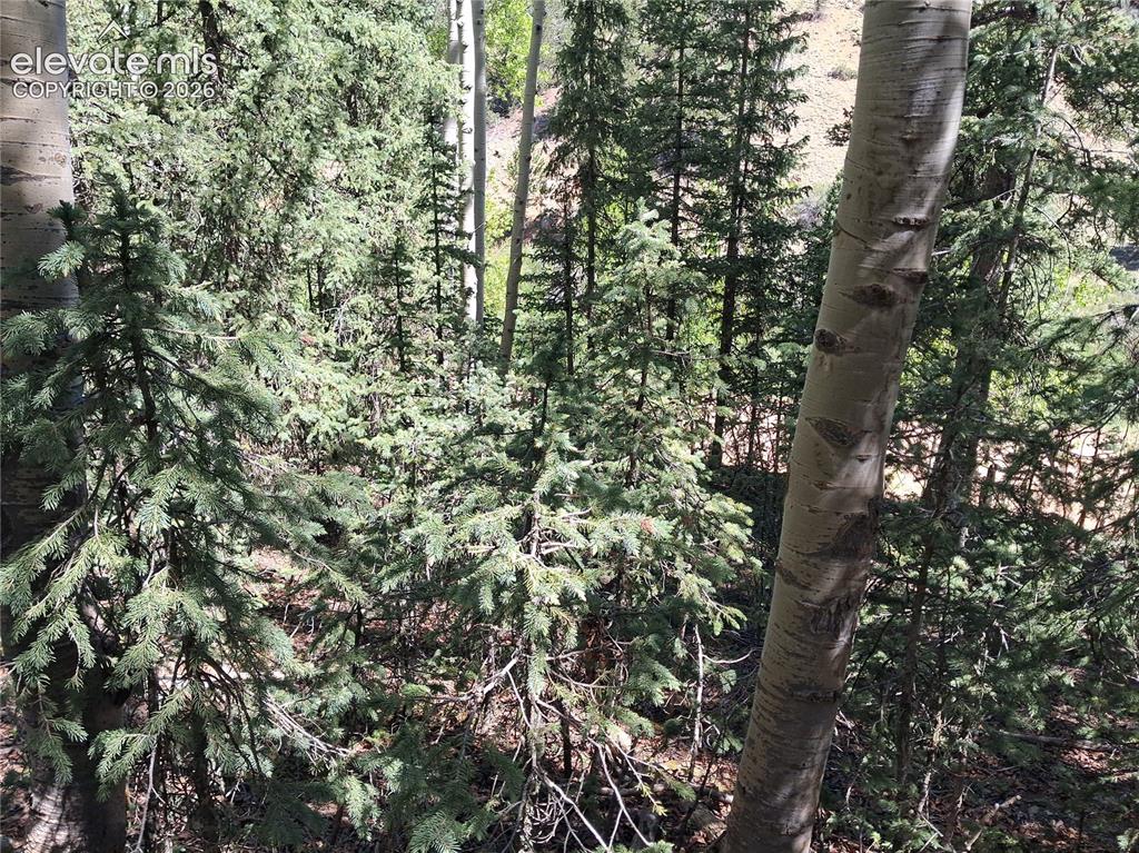 2462 Anges Drive Cripple Creek CO 80813