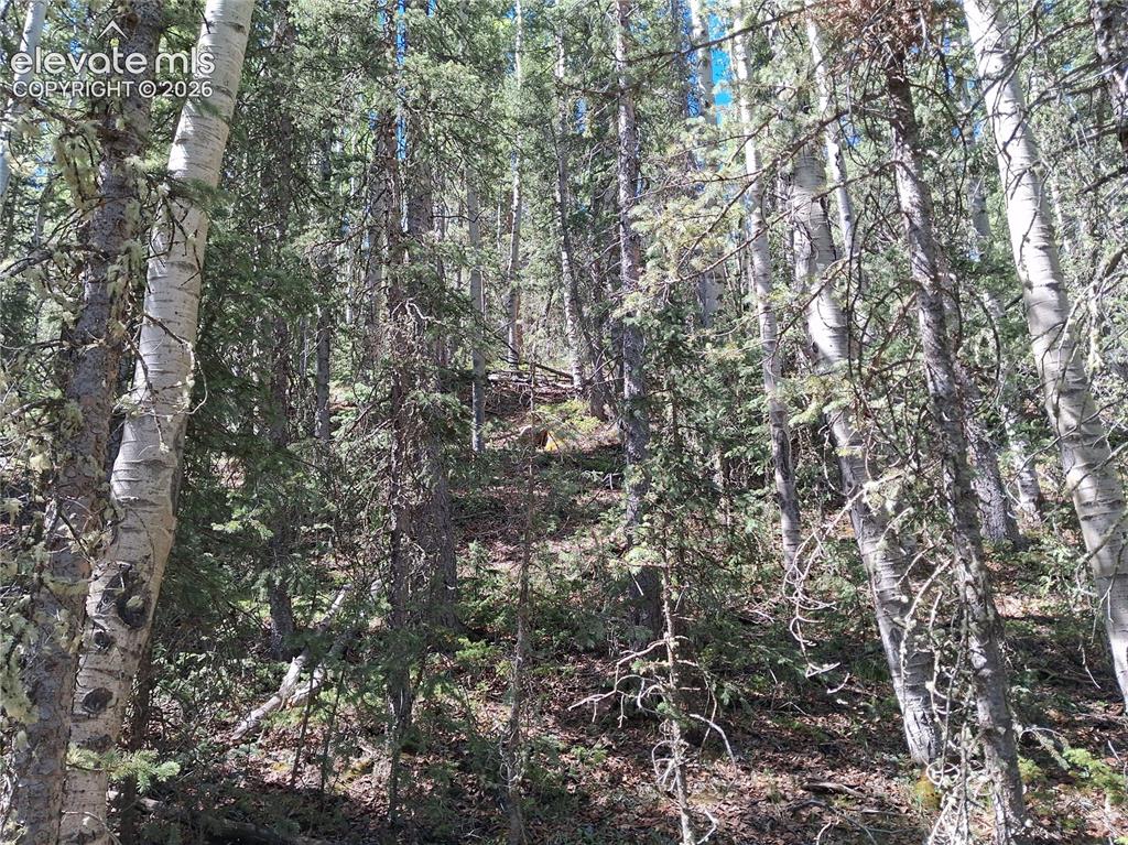 2462 Anges Drive Cripple Creek CO 80813