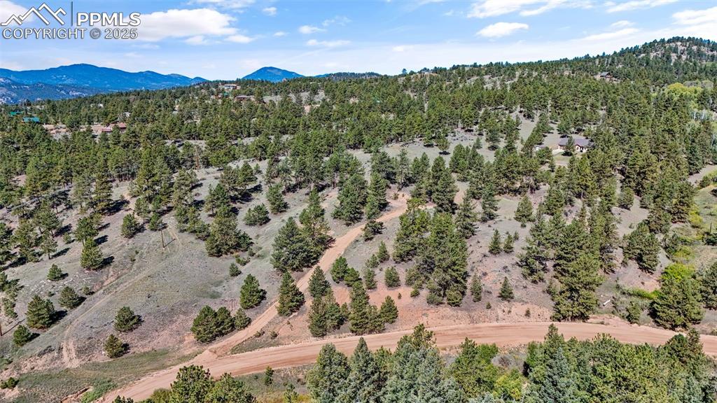 163 Valley View Drive Florissant CO 80816