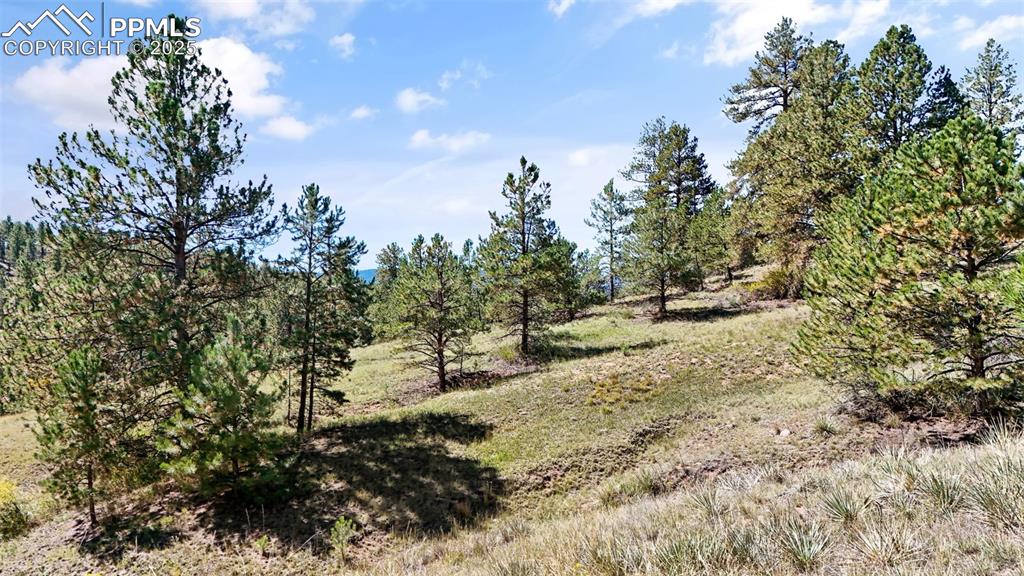 163 Valley View Drive Florissant CO 80816