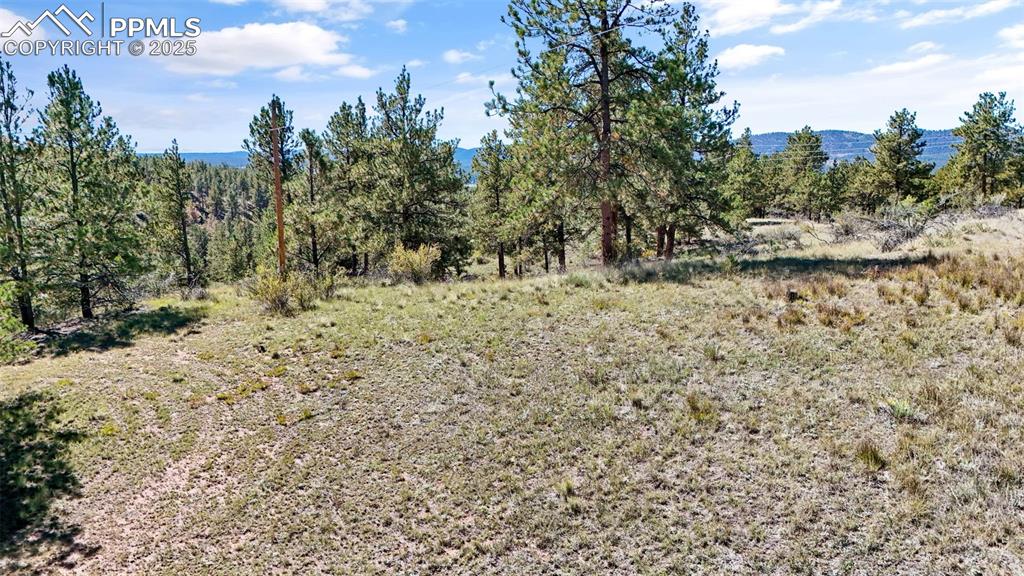 163 Valley View Drive Florissant CO 80816