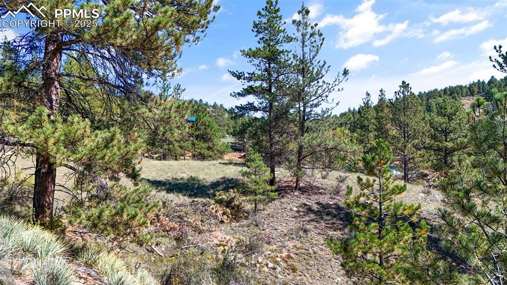 163 Valley View Drive Florissant CO 80816