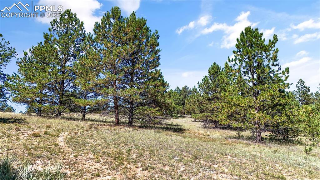 163 Valley View Drive Florissant CO 80816