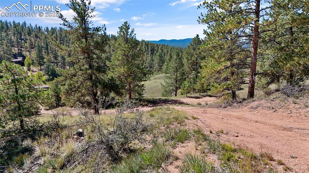 163 Valley View Drive Florissant CO 80816