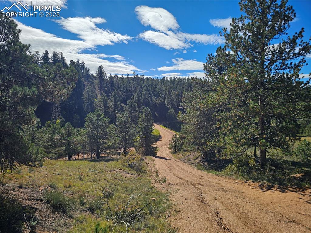 163 Valley View Drive Florissant CO 80816