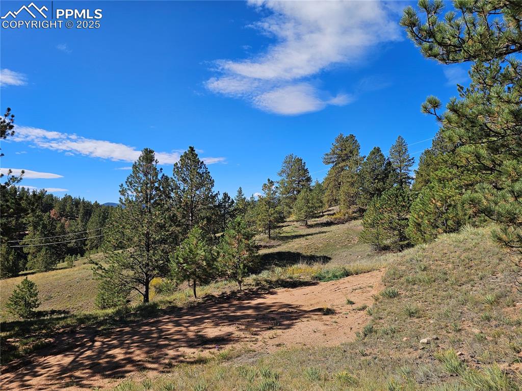 163 Valley View Drive Florissant CO 80816