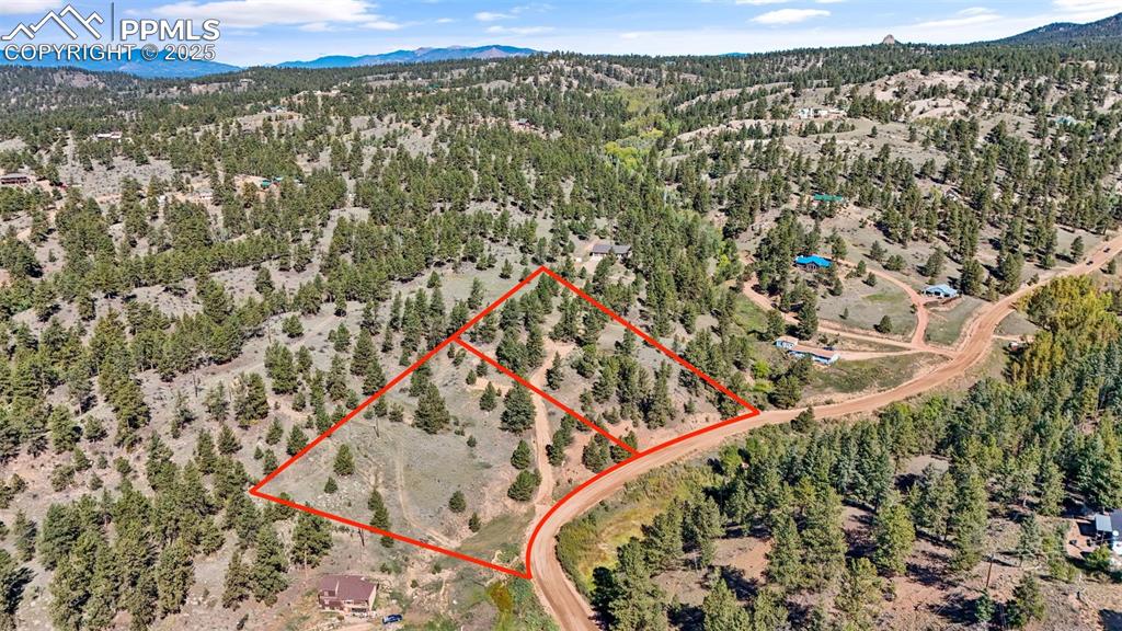 163 Valley View Drive Florissant CO 80816