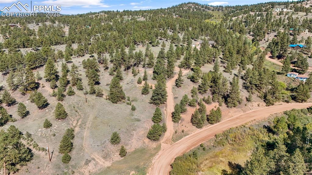 163 Valley View Drive Florissant CO 80816