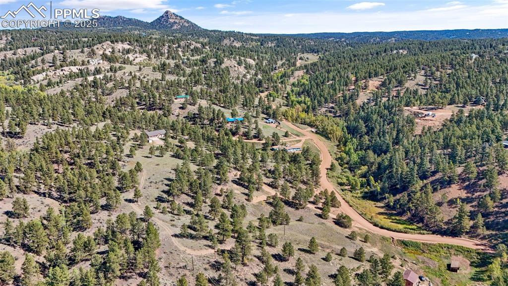 163 Valley View Drive Florissant CO 80816