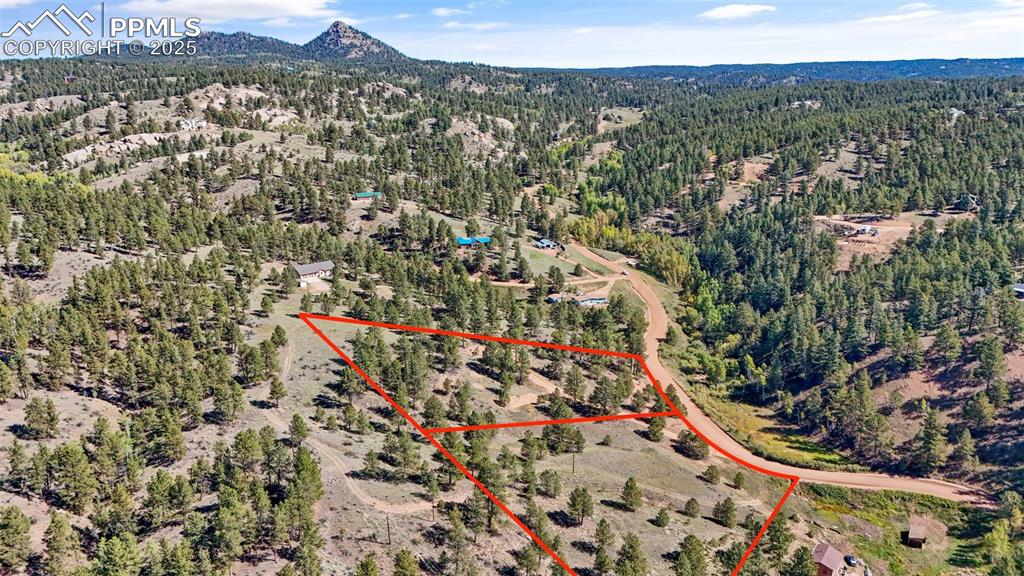 163 Valley View Drive Florissant CO 80816