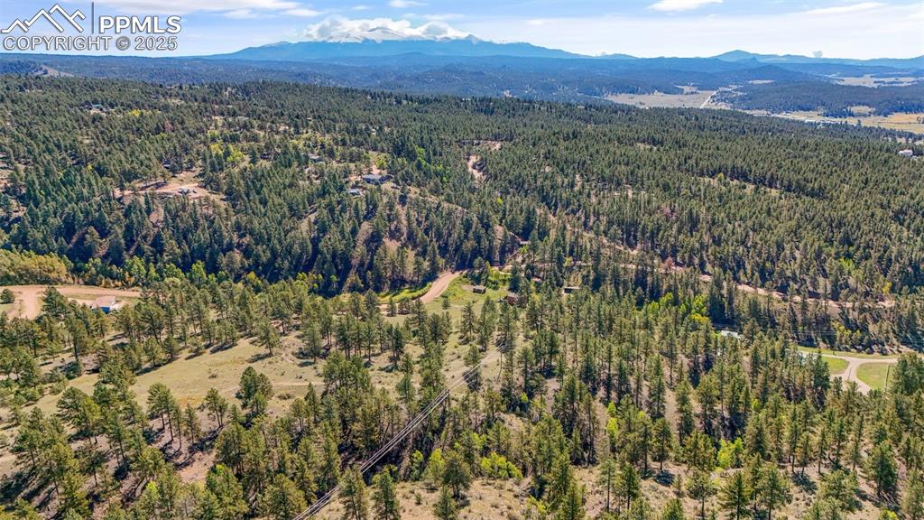 163 Valley View Drive Florissant CO 80816