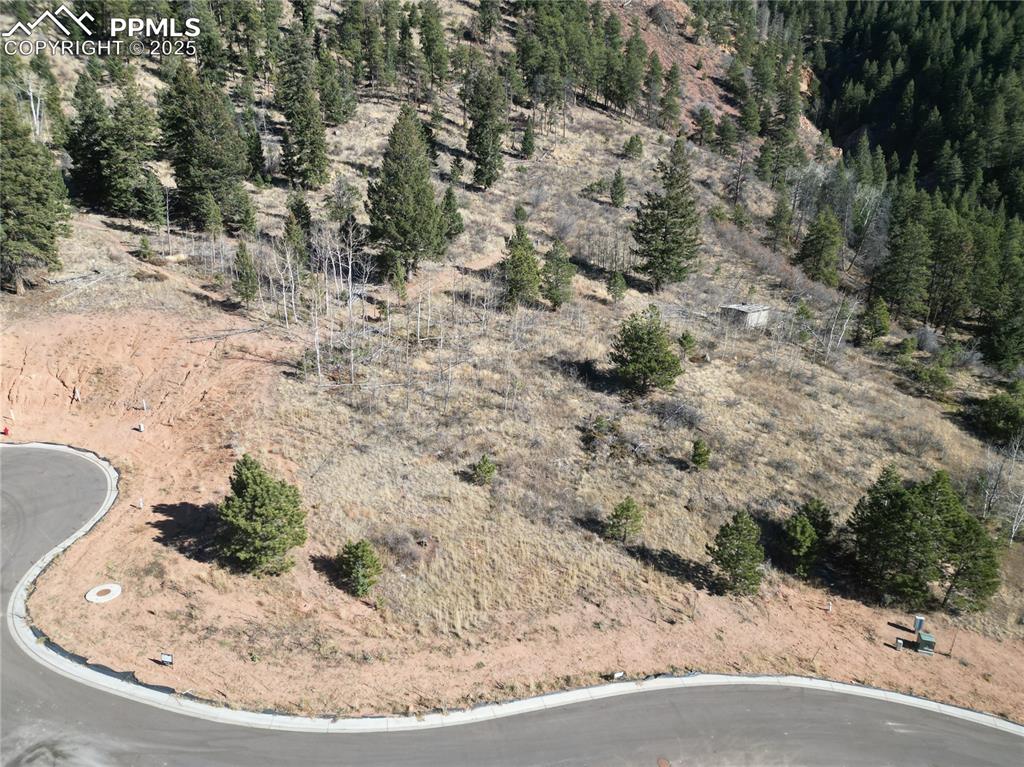 1385 Blue Haven Place Woodland Park CO 80863