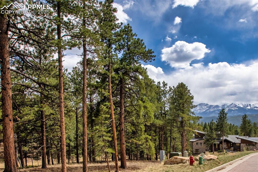 271 Thunder Ridge Drive Woodland Park CO 80863