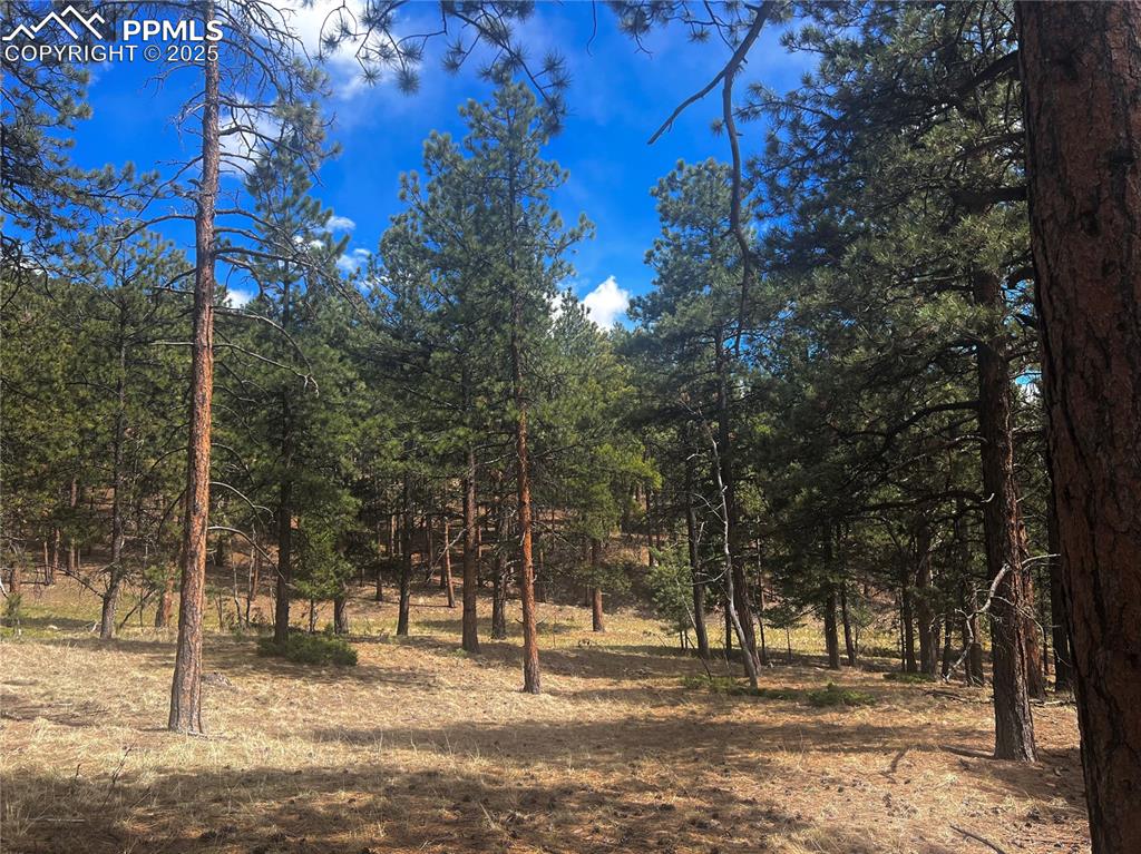 271 Thunder Ridge Drive Woodland Park CO 80863