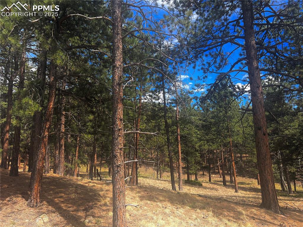 271 Thunder Ridge Drive Woodland Park CO 80863