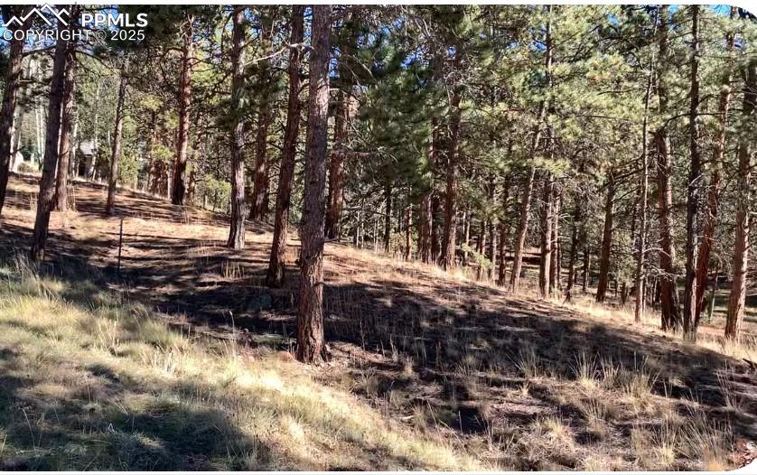 271 Thunder Ridge Drive Woodland Park CO 80863