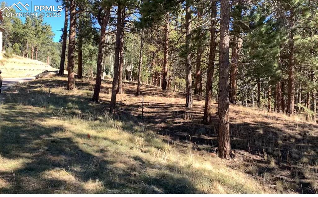 271 Thunder Ridge Drive Woodland Park CO 80863