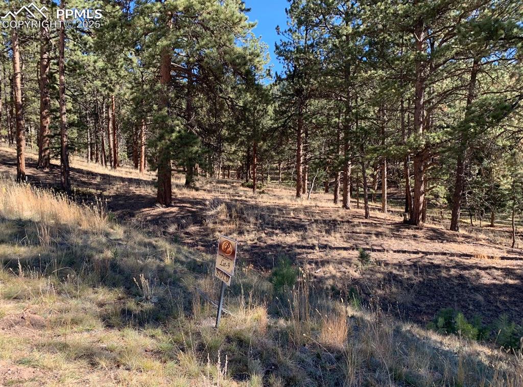 271 Thunder Ridge Drive Woodland Park CO 80863