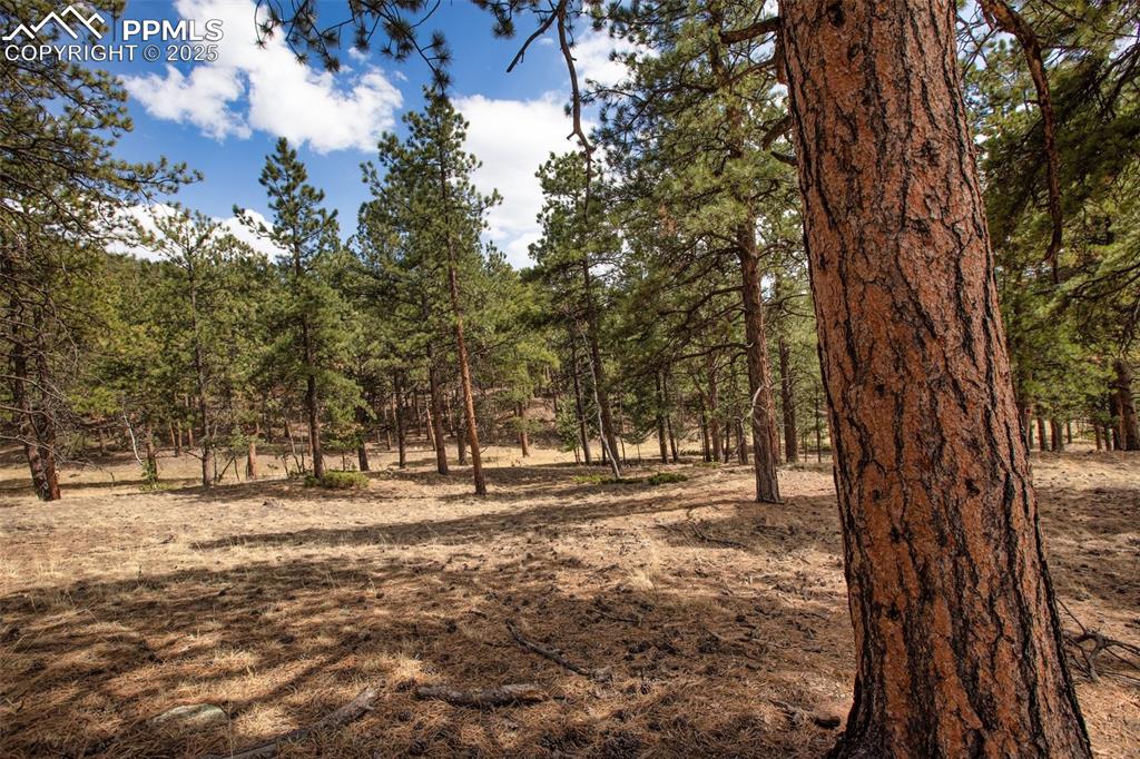 271 Thunder Ridge Drive Woodland Park CO 80863