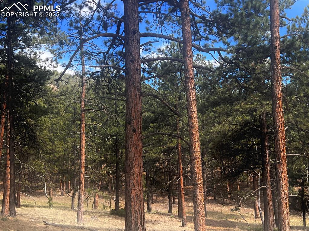 271 Thunder Ridge Drive Woodland Park CO 80863