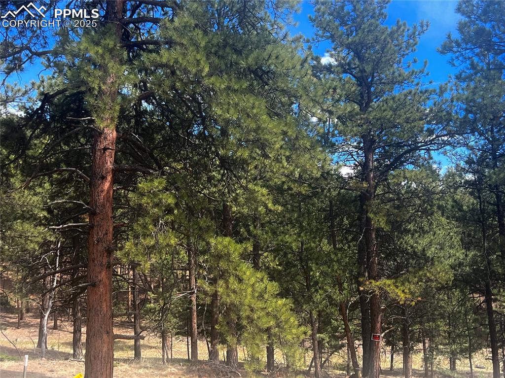 271 Thunder Ridge Drive Woodland Park CO 80863