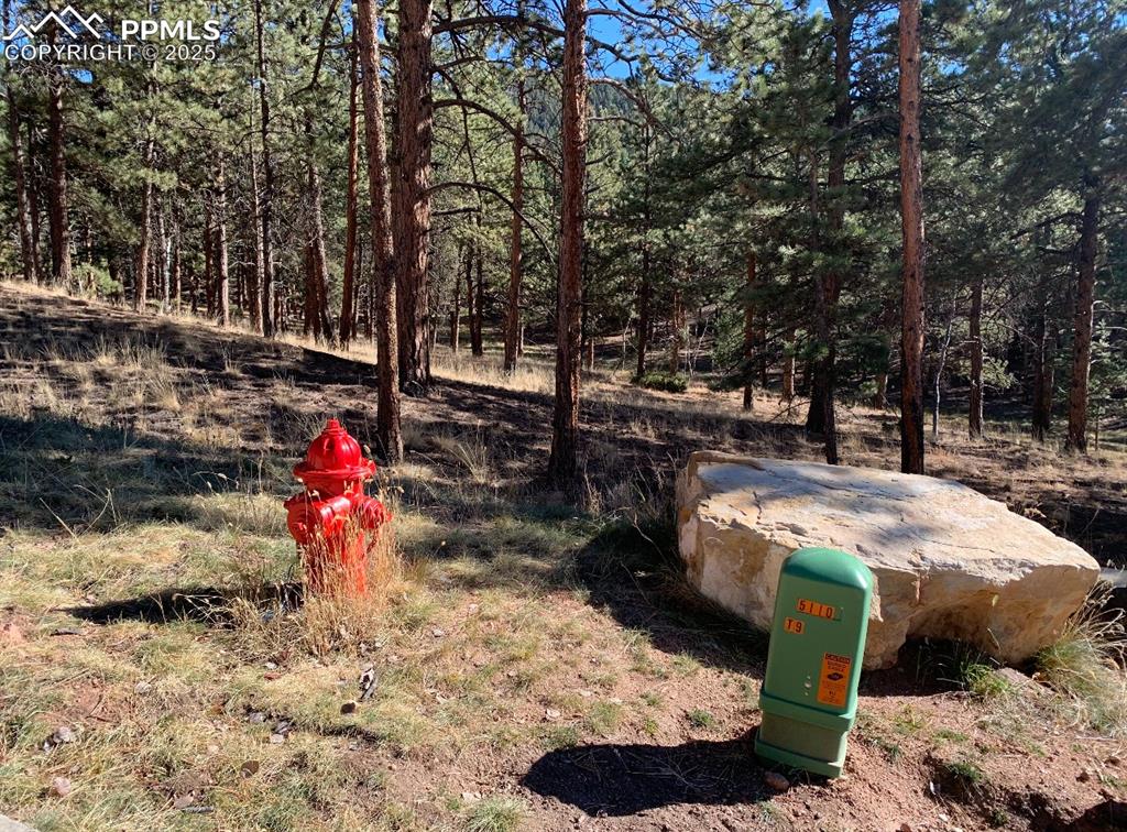271 Thunder Ridge Drive Woodland Park CO 80863