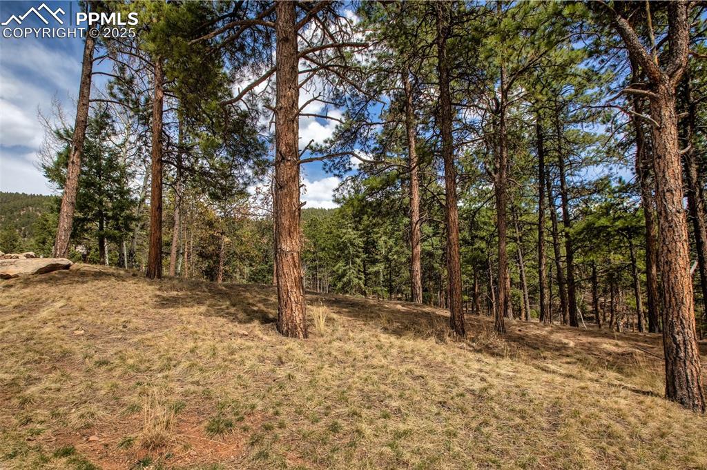271 Thunder Ridge Drive Woodland Park CO 80863