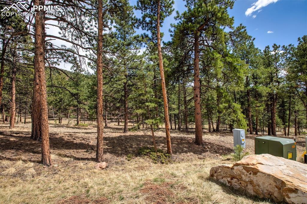 271 Thunder Ridge Drive Woodland Park CO 80863
