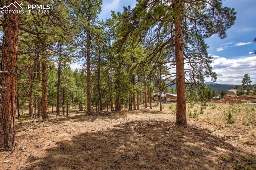 271 Thunder Ridge Drive Woodland Park CO 80863