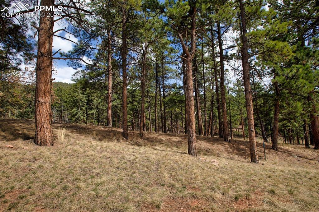 271 Thunder Ridge Drive Woodland Park CO 80863