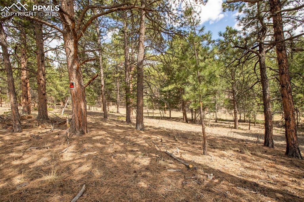 271 Thunder Ridge Drive Woodland Park CO 80863