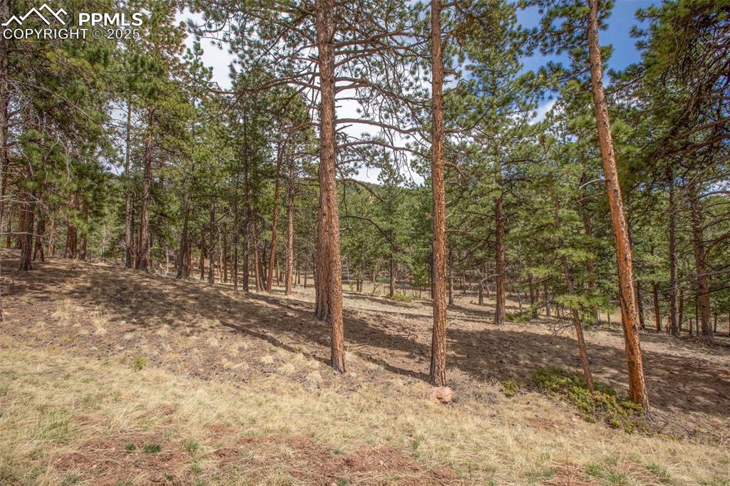 271 Thunder Ridge Drive Woodland Park CO 80863