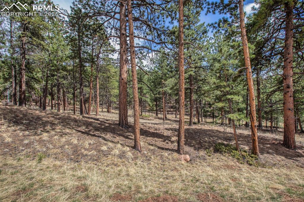 271 Thunder Ridge Drive Woodland Park CO 80863