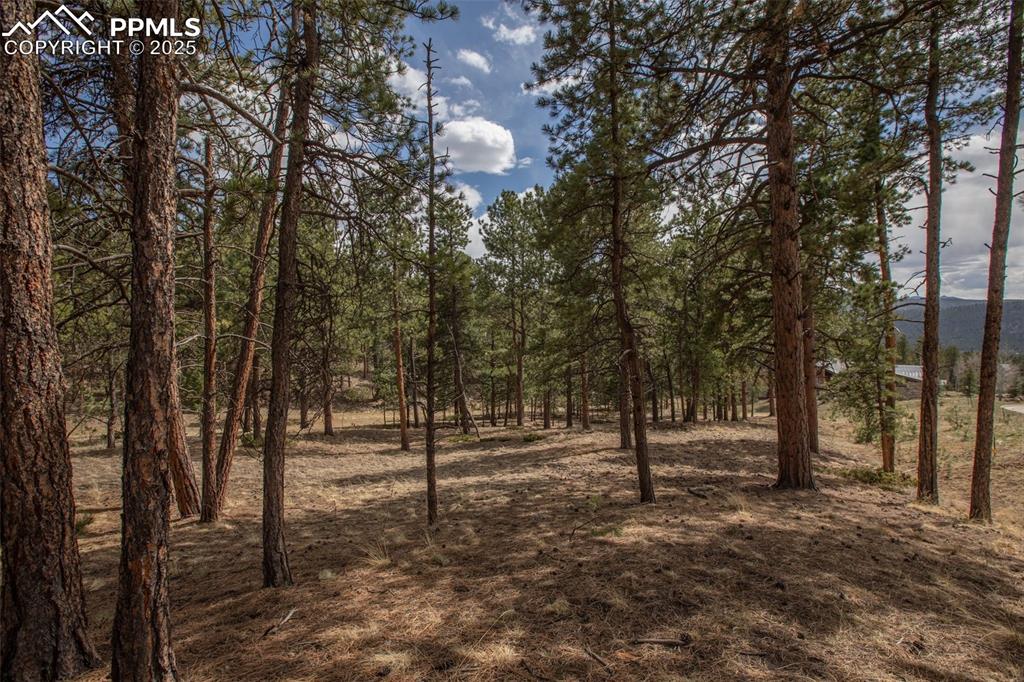 271 Thunder Ridge Drive Woodland Park CO 80863