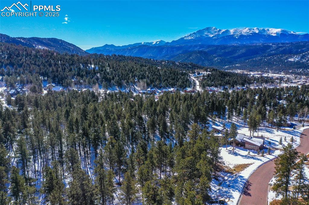 271 Thunder Ridge Drive Woodland Park CO 80863