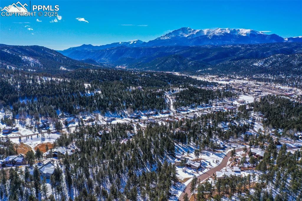 271 Thunder Ridge Drive Woodland Park CO 80863