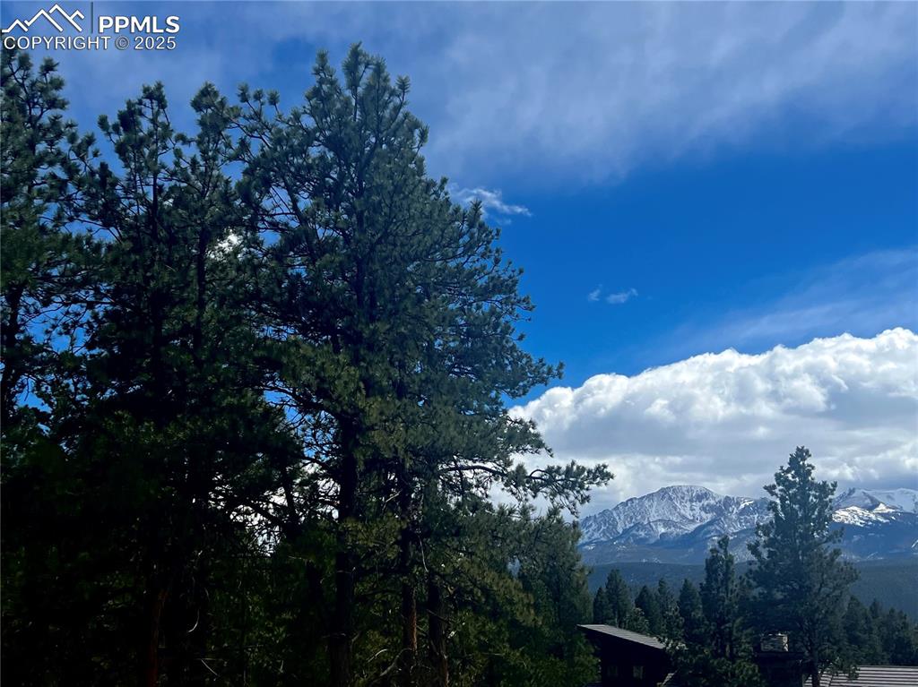271 Thunder Ridge Drive Woodland Park CO 80863