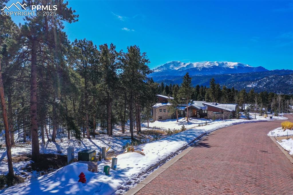 271 Thunder Ridge Drive Woodland Park CO 80863